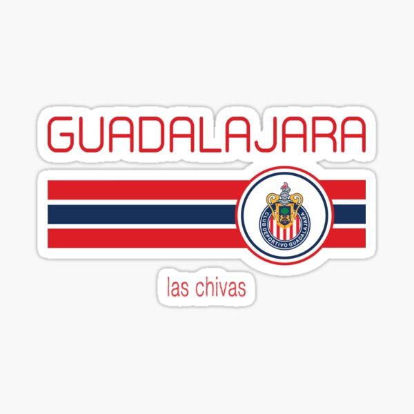 18 Liga MX Mexico Club Soccer Stickers Calcomania Vinyl Decals - ALL TEAMS