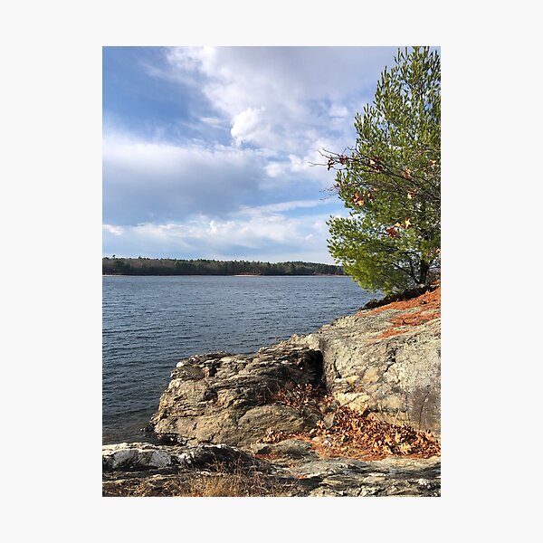 Item preview, Lake designed and sold by Molly Evans.