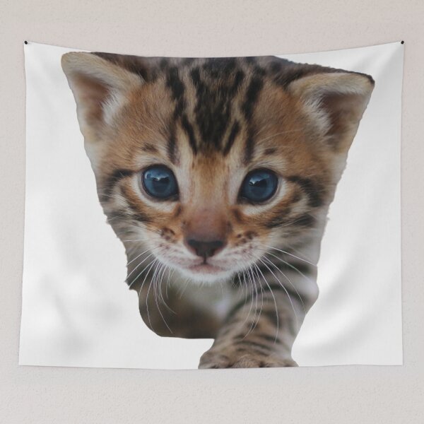 Item preview, Cute cat designed and sold by Liana Winslow.