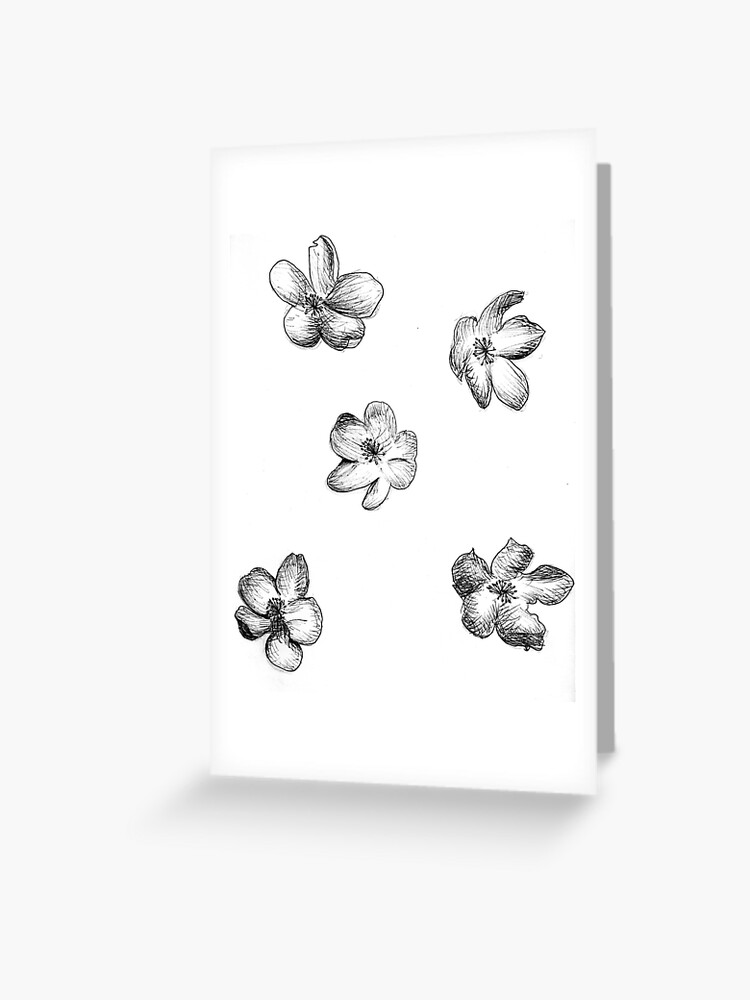 Apple Tree Blossom Sketch Greeting Card