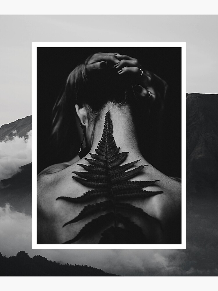 Lámina fotográfica «La hoja de la montaña en blanco y negro» de Tony