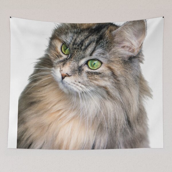 Item preview, Cute cat - kitten designed and sold by Liana Winslow.
