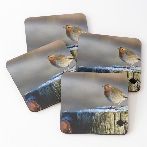 Item preview, Robin in winter sunshine designed and sold by Violaman.