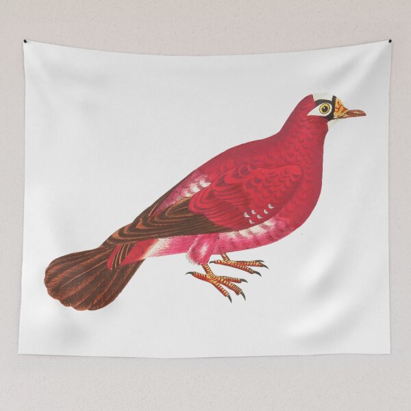 Item preview, Vintage Bird Illustration designed and sold by xostarboyxo.