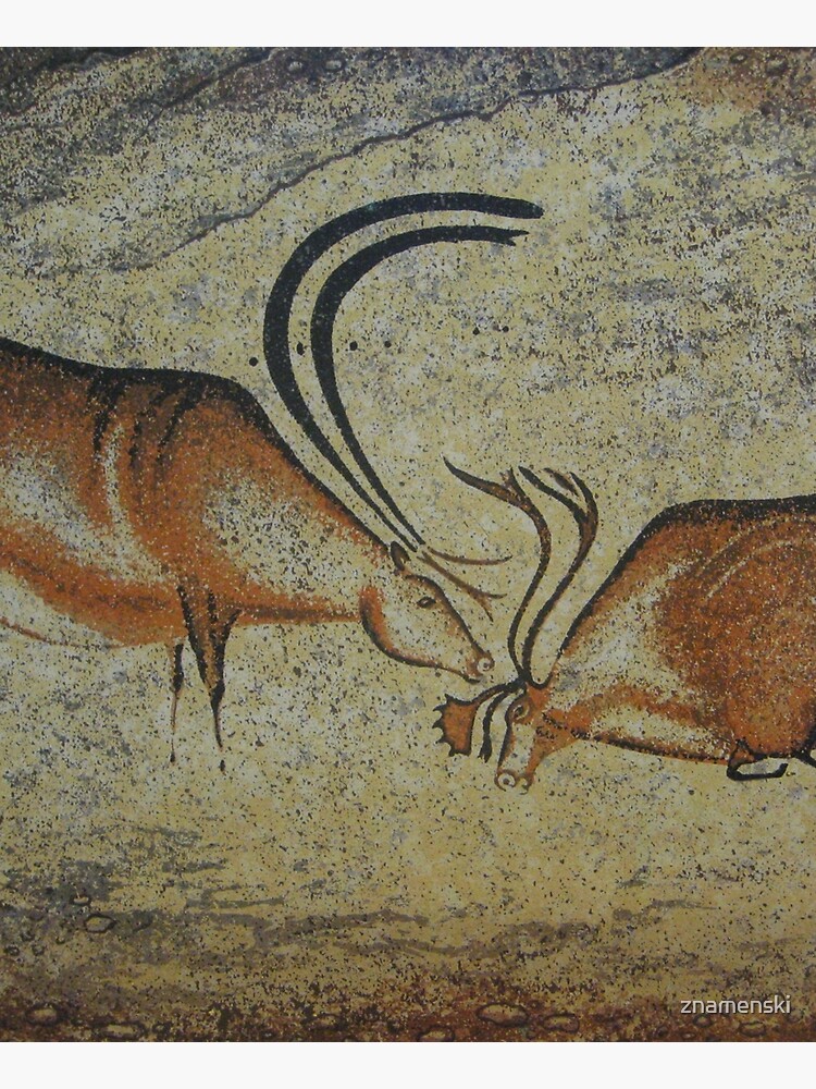 #CavePaintings #CaveDrawings #cave #paintings #drawings #CavePaintingsInFrance by znamenski