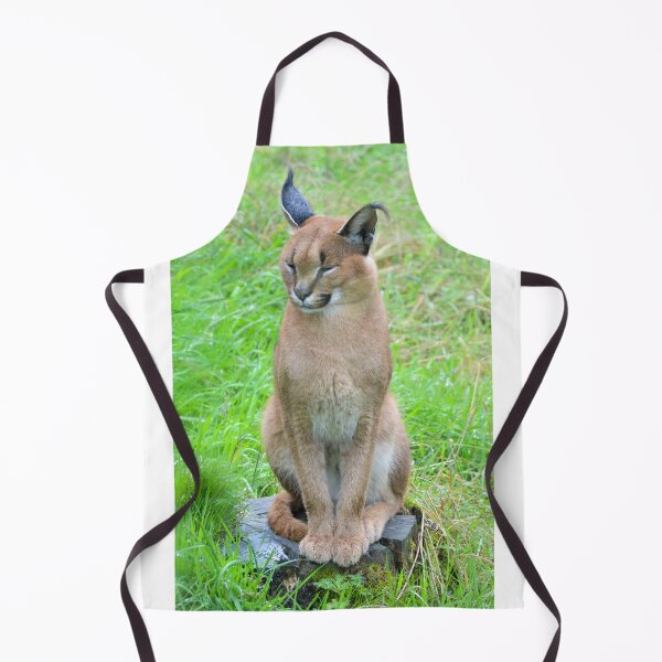 Item preview, Caracal designed and sold by Ksswaden.