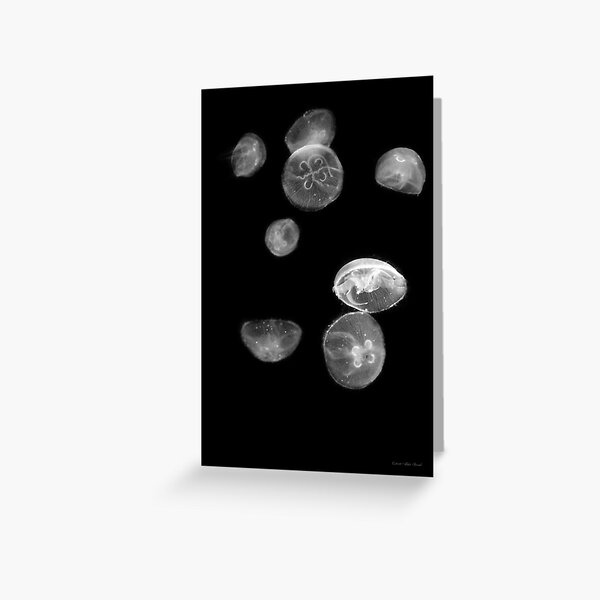 Fish - Reach for the moon Greeting Card