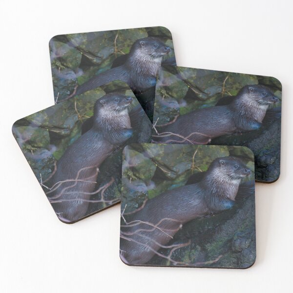 Item preview, Otter Cub on a riverbank. designed and sold by RobinDHunter.