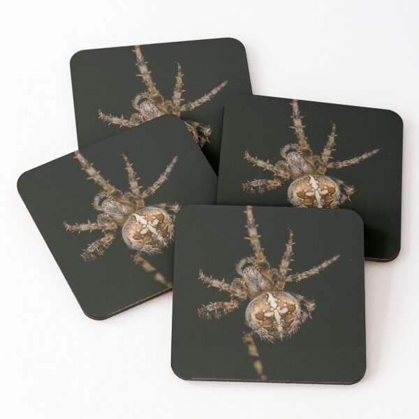 Item preview, Orb Weaver, Spider, Spider Spinning Web designed and sold by SB-Design.