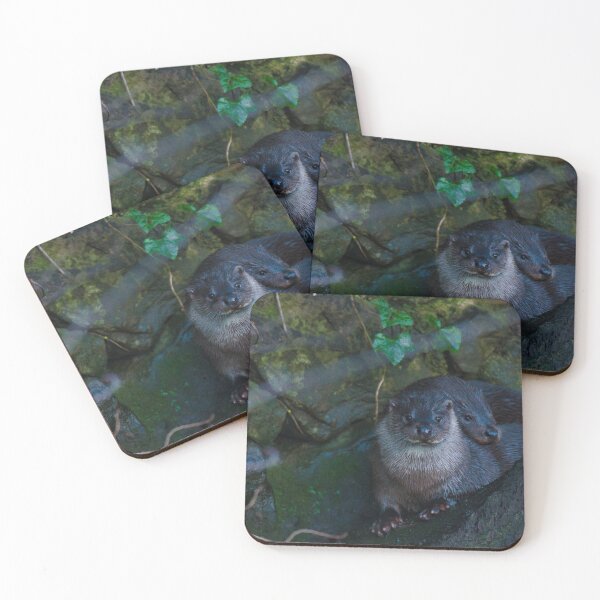 Item preview, Otters, mother and cub on riverbank. designed and sold by RobinDHunter.