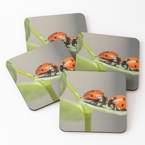 Item preview, LADYBUGS designed and sold by ARGON1974.
