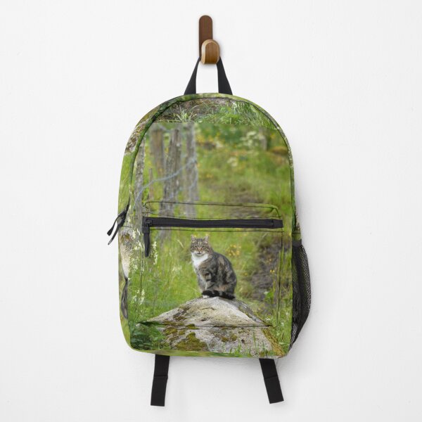 Item preview, The cat the boss designed and sold by Jouko Lehto Photography.