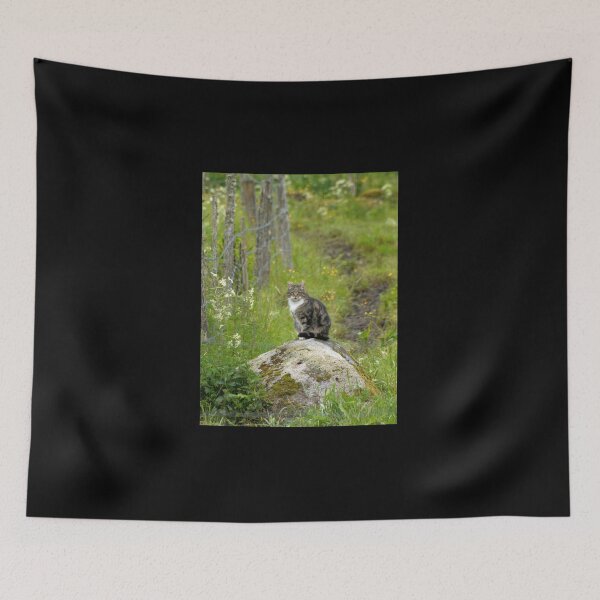 Item preview, The cat the boss designed and sold by Jouko Lehto Photography.