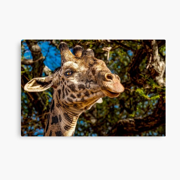 Item preview, Giraffe designed and sold by Six Directions  Photography.