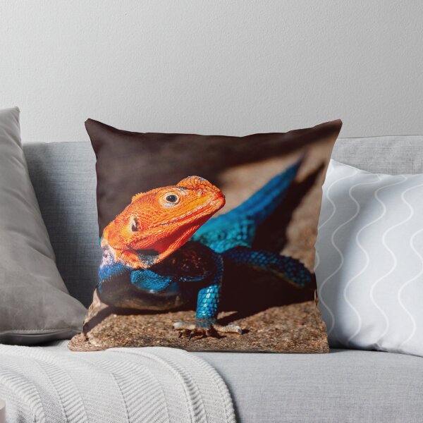 Item preview, Agama Lizard designed and sold by Six Directions  Photography.