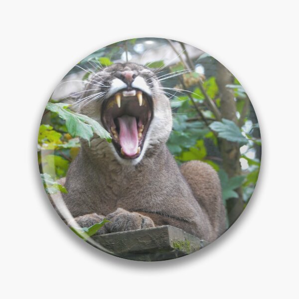 Item preview, Cougars/Puma designed and sold by Ksswaden.