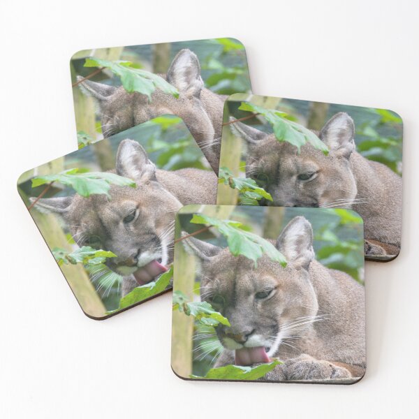 Item preview, Mountain Lion designed and sold by Ksswaden.