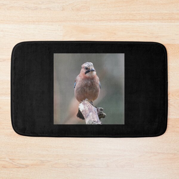 Item preview, Eurasian Jay The Boss is talking designed and sold by Jouko Lehto Photography.