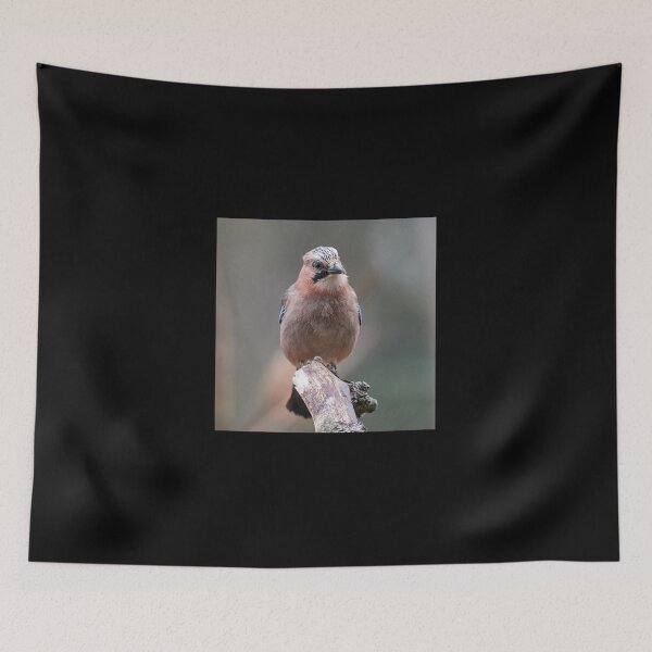 Item preview, Eurasian Jay The Boss is talking designed and sold by Jouko Lehto Photography.