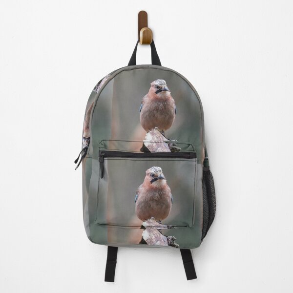 Item preview, Eurasian Jay The Boss is talking designed and sold by Jouko Lehto Photography.