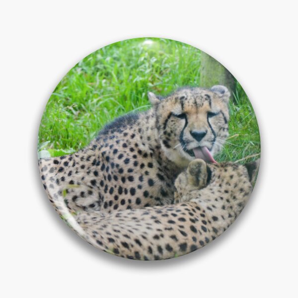 Item preview, Cheetah's Grooming designed and sold by Ksswaden.