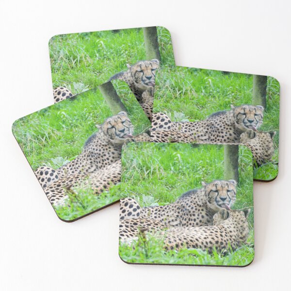 Item preview, Cheetah's Grooming designed and sold by Ksswaden.