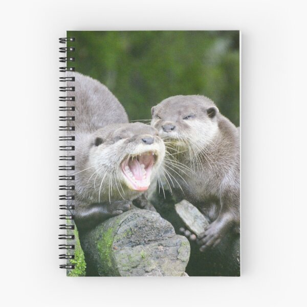 Item preview, Otters yawning designed and sold by Ksswaden.