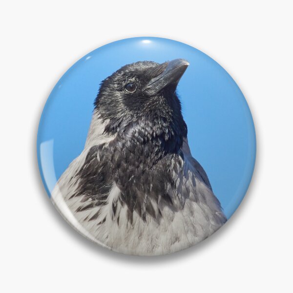 Item preview, Hooded crow headshot designed and sold by Jouko Lehto Photography.