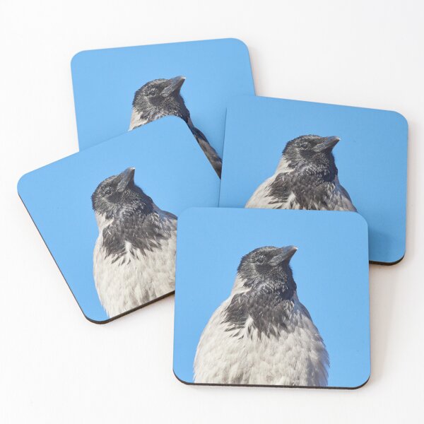 Item preview, Hooded crow headshot designed and sold by Jouko Lehto Photography.