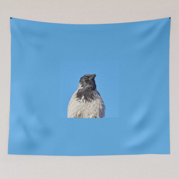 Item preview, Hooded crow headshot designed and sold by Jouko Lehto Photography.
