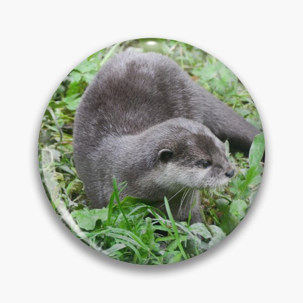 Item preview, Otter Lovers designed and sold by Ksswaden.