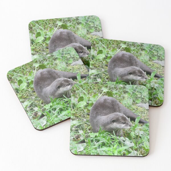 Item preview, Otter Lovers designed and sold by Ksswaden.