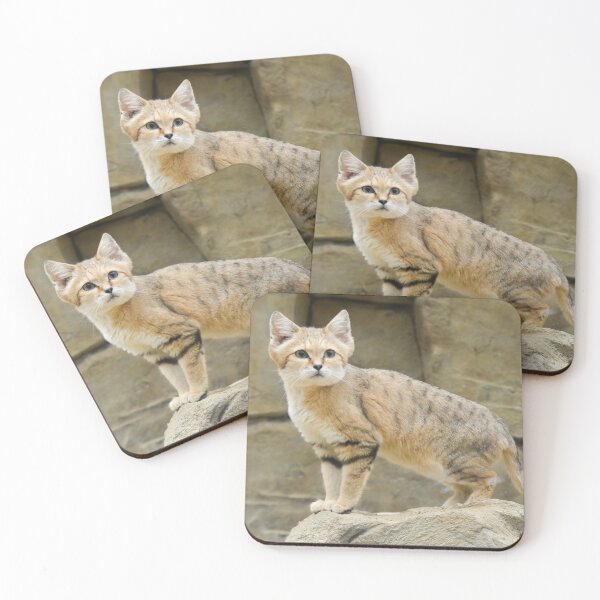 Item preview, Sand cat standing proud designed and sold by Ksswaden.