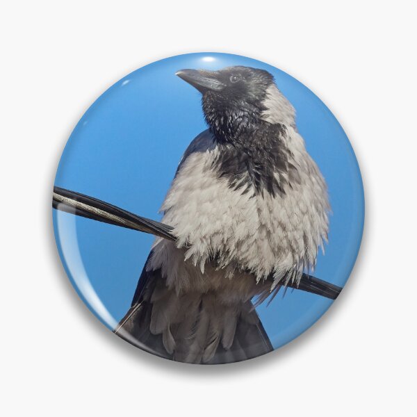 Item preview, Hooded crow on the wire designed and sold by Jouko Lehto Photography.