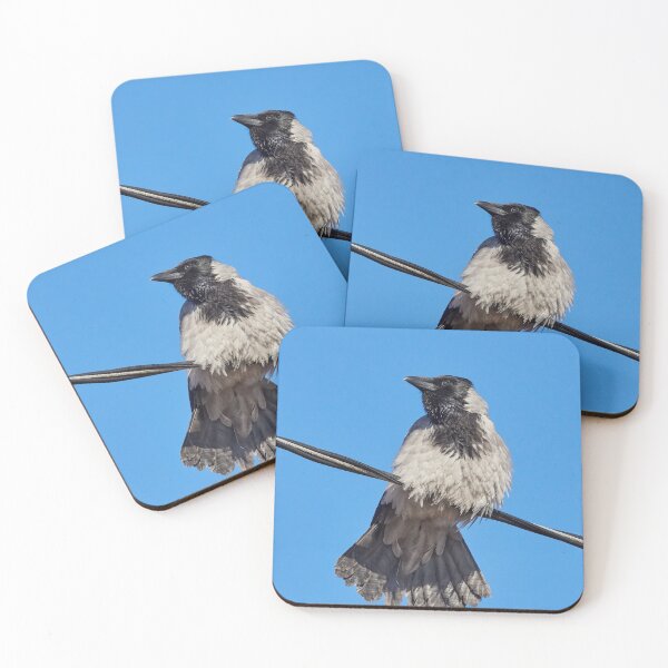 Item preview, Hooded crow on the wire designed and sold by Jouko Lehto Photography.