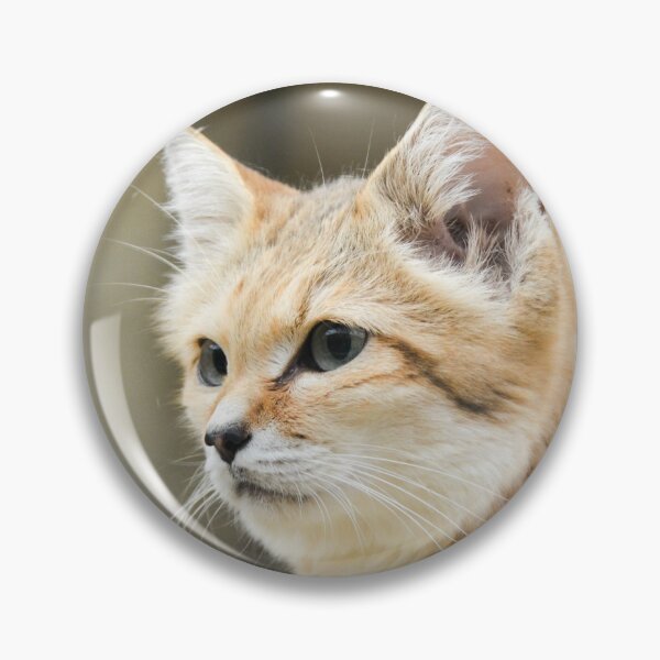 Item preview, Cute Sand Cat designed and sold by Ksswaden.