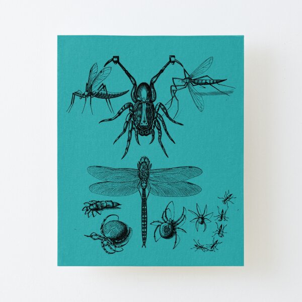Such different insects. Canvas Mounted Print