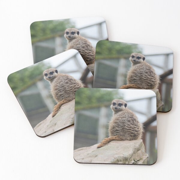 Item preview, Meerkat @ Exmoor Zoo designed and sold by Ksswaden.