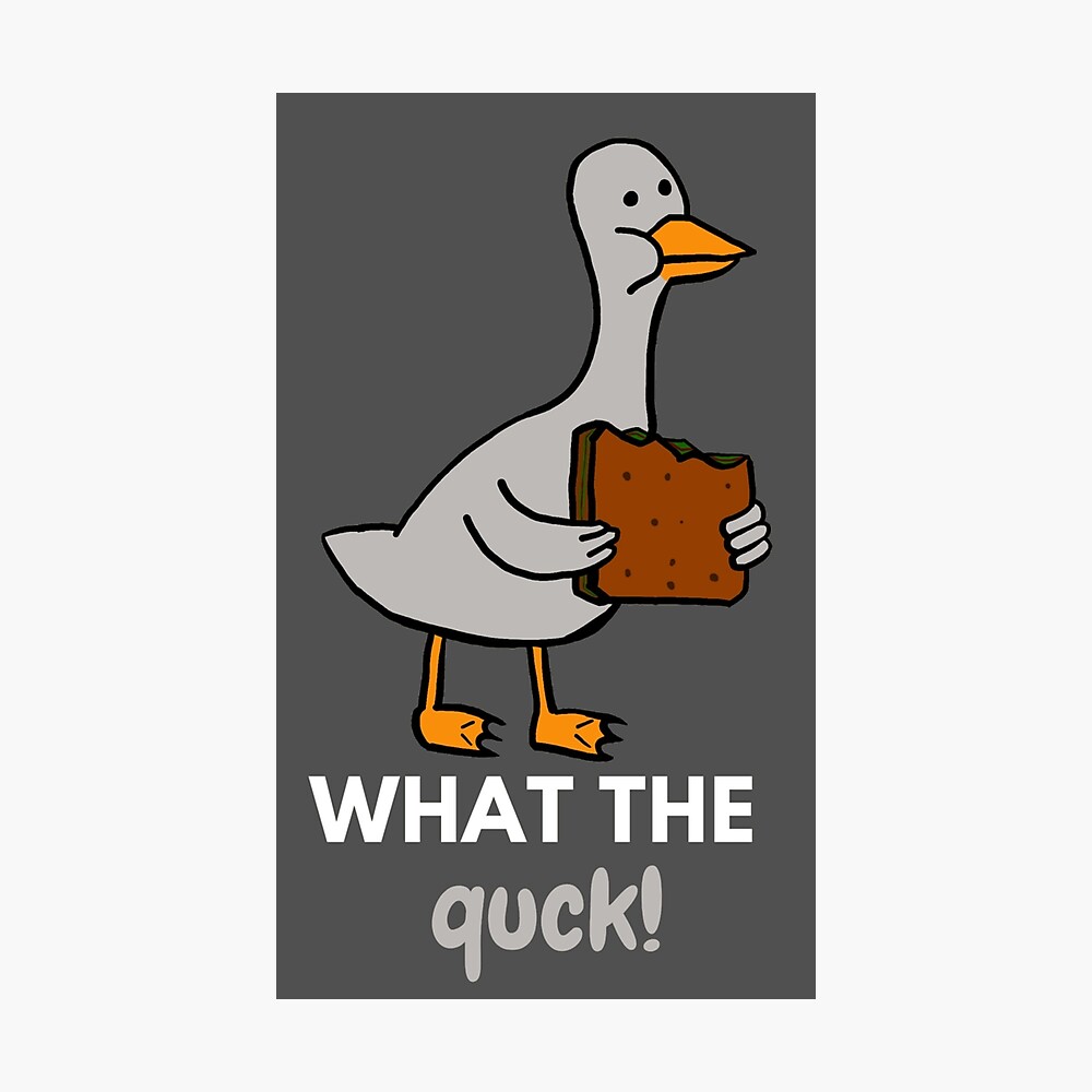 Duck Eating Sandwich Duck Eating Sandwich
