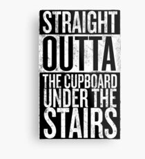 Straight out of the Cupboard Metal Print