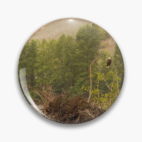 Item preview, Two eagles resting in a tree at the end of a pool on the Kitimat River, British Columbia, Canada. designed and sold by SnapTPhotograph.