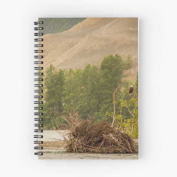 Item preview, Two eagles resting in a tree at the end of a pool on the Kitimat River, British Columbia, Canada. designed and sold by SnapTPhotograph.