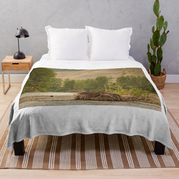 Item preview, Two eagles resting in a tree at the end of a pool on the Kitimat River, British Columbia, Canada. designed and sold by SnapTPhotograph.