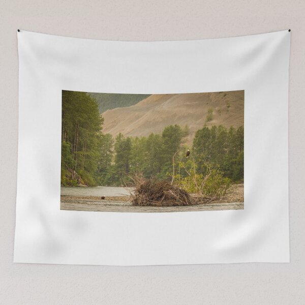 Item preview, Two eagles resting in a tree at the end of a pool on the Kitimat River, British Columbia, Canada. designed and sold by SnapTPhotograph.