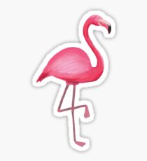Flamingo Sticker
