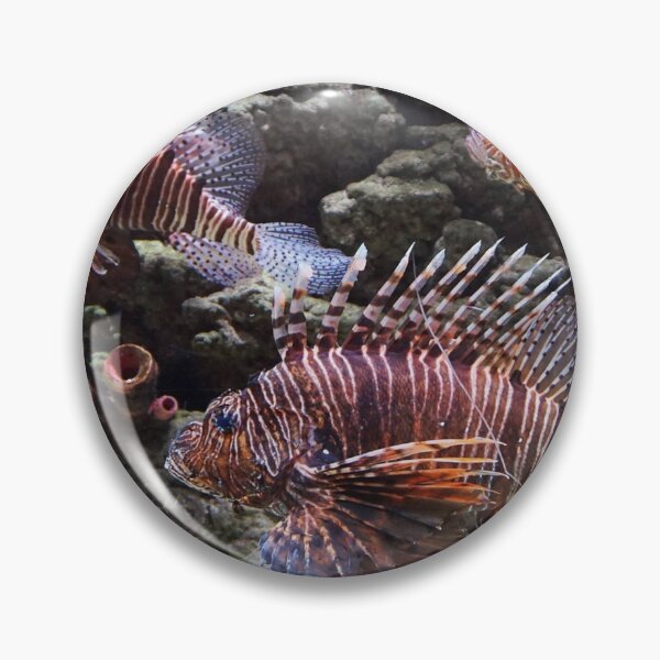 Aperçu de l'œuvre Poisson Lion créée et vendue par socialengineer.