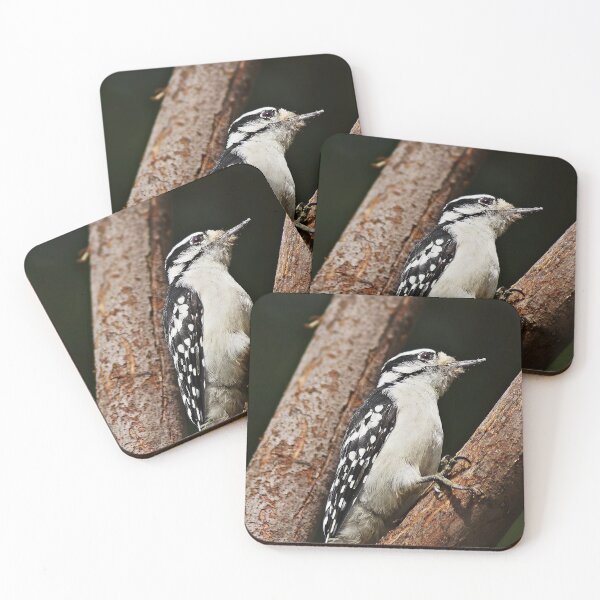Item preview, Female Downy Woodpecker designed and sold by cherylorraine.