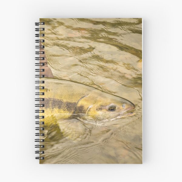 Item preview, A Chum salmon about to be released back into the river by a fisherman designed and sold by SnapTPhotograph.