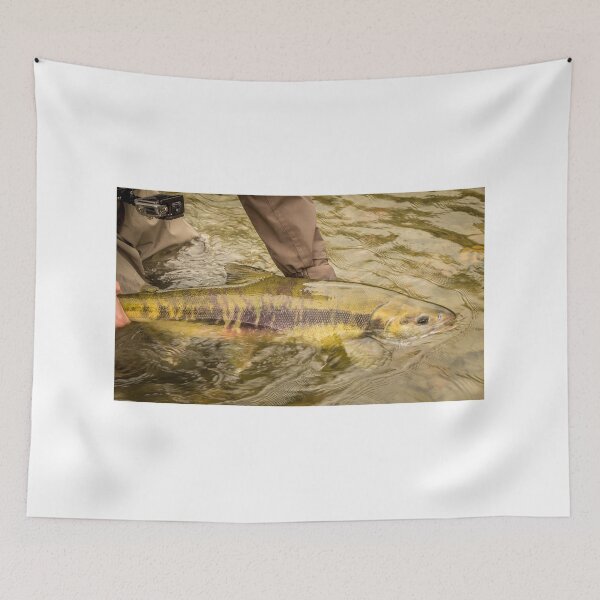 Item preview, A Chum salmon about to be released back into the river by a fisherman designed and sold by SnapTPhotograph.
