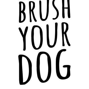 Imagen de la obra Brush Your Dog de Ripper19
